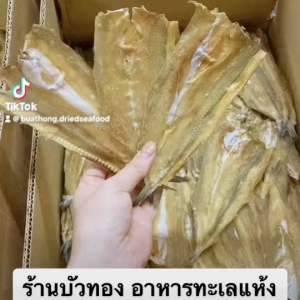 🚚 พร้อมส่ง ‼️ ปลาแห้ง ปลาจิ๊กโก๋ ปลาช่อนทะเล ตากแห้ง อาหารทะเลแห้ง ไซต์กลาง ราคาถูก สด ใหม่ อร่อย ดี ไม่เค็ม ไม่แข็ง แบบจืด ขนาด1000กรัม