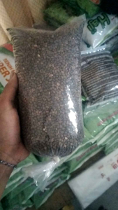 ecer benih kangkung permata baru 500gr benih super murah