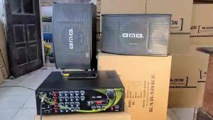 Loa Karaoke 450 bass 25 bass tép đều từ kép(1 đôi )