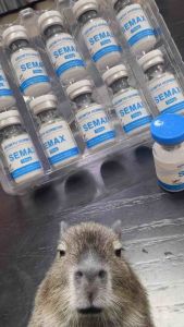 Serum Semax ( serum hỗ trợ nam và nữ )