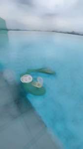 รองเท้าแตะ Hippo Bloo HPD2 สีกรมตัดขาว สายเล็ก ลายจุด ใส่ได้ทั้งชายหญิง เลือกสีได้ รองเท้าอยู่บ้าน รองเท้าแตะหูหนีบ รองเท้าแตะ แบรนด์คนไทย