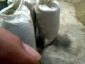 Teh Hijau Kiloan Harga Grosir