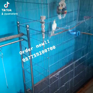 kandang koloni galvanis ANTI KARAT(FREE ONGKIR)