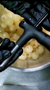 เซตคู่ ที่แกะเม็ดลำไย ที่คว้านเม็ดลำไย ไม้แกะลำไยสด (ไม่มีสปริง 1 ชิ้น + มีสปริง 1 ชิ้น)