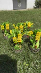 ต้นกล้วย กล้วยมงคล แบบดินปั้น ขนาดสูง 8 นิ้ว สำหรับวาง ตั้งโชว์ เสริมสิริมงคล เรียกทรัพย์