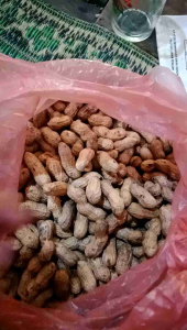KACANG TANAH SUPER 1KG