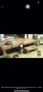 Thuốc diệt kiến Earth Super Arinosu Koroki Nhật Bản vỉ 2 hộp