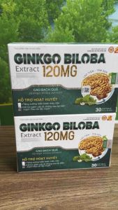 Ginkgo biloba 120mg hộp 30 viên hỗ trợ đau đầu chóng mặt