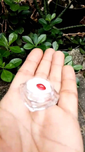 Batu mustika Delima Beras