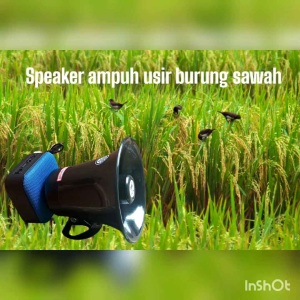 Speaker Ampuh Pengusir Burung dan Tikus Disawah Bluetooth dengan Memori Suara dan Baterai Tahan Lama