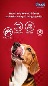 Drools Meat (Lamb ) and Rice Dog Food for Adult