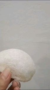 Clean Best Shaped Bird Nest (50gram) 纯净燕窝【5A 燕盏 】