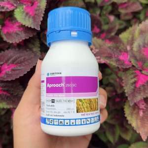 Aproach 250SC (chai 200ml)- trị đạo ônkhô vằnlem lép hạtvàng lá chín sớm