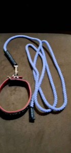 KALUNG DAN TALI TUNTUN ANJING PROMO