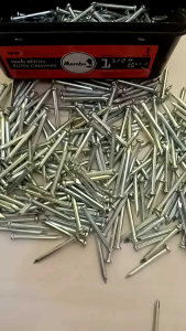 PAKU BETON MARABU 25CM 3CM 4CM 5CM 7CM 10CM GALVANIS ISI 10PCS