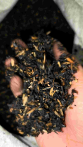 SEKAM BAKAR MEDIA TANAM MURNI SEKAM BAKAR PADI 100% KEMASAN 5 LITER