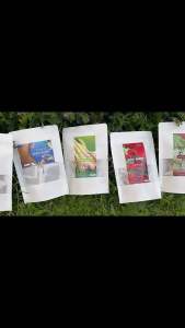 หนวดแมว/พยับเฆม 5ขนาด ใช้ทั้งต้นบดผสมซองละ 2.0กรัม