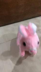 Mainan Kelinci Anak Bisa Jalan