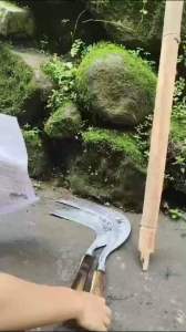 Arit Rumput Cap Dewi Bintang Jawa: Desain Klasik untuk Taman Rumah