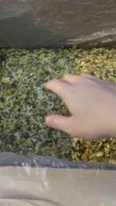 [100G] 杭州菊花 | 朵花 Chrysanthemum Flower Tea | Bunga Kekwa