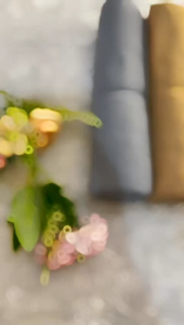 Bedong Bayi Jumbo Isi 4 Pcs Warna Choho Series