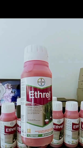 Ethrel untuk memperbanyak getah karet 500ml