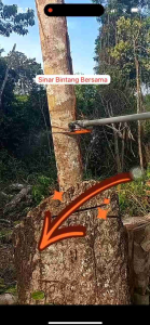 MATA PISAU CHAINSAW MESIN POTONG RUMPUT 2 TAK DAN 4 TAK