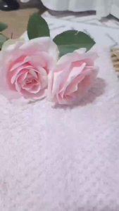 Herbal Ramuan Rendam Kaki: Mengatasi Asam Urat, Asam Lambung, dan Hipertensi