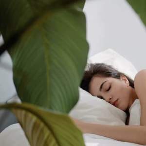 Natural Sleep Aid and Stress Reliever Aromatherapy Roll On