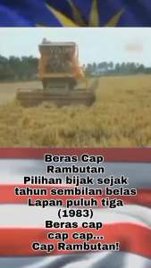 5kg Beras Cap Rambutan 红毛丹 标 白米 Super Import (Thailand) Rice 5kg