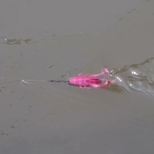 เหยื่อตกปลาช่อนปลาชะโด รุ่น ฟิวชั่น 1⃣ แพ็คได้ 3⃣ ชิ้น 🆓ตะขอ 1⃣ ชิ้น ทุกแพ็ค