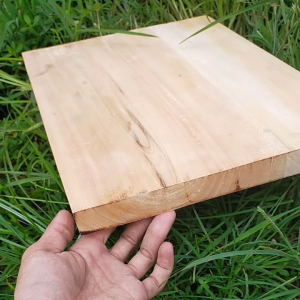 talenan kayu mahoni berkualitas ketebalan 2 cm