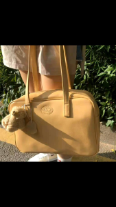 กระเป๋าสะพายอเนกประสงค์