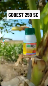 GOBEST 250 SC - 250ml ZPT tanaman