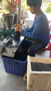 ธูปไล่ยุงตะไคร้หอมสีครีม บรรจุถุงละ500กรัม