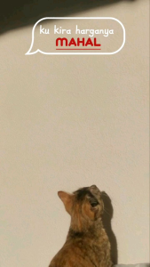 KARTU KOLEKSI HOBBY