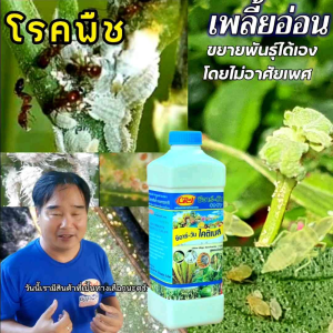 ไคโตซานพืช ไคติเนส ชุดคู่ เพลี้ยไฟ ไรแดง ราน้ำค้าง แมลงรบกวน ขนาด 1000 ซีซี (1ลิตร) จำนวน 2 ขวด