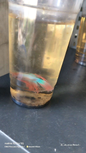 crowntailbetta aquarium decor 1pc free plants inside random pick