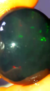 Kalimaya Banten Black Oval Jumbo: Pengertian & Pemanfaatannya