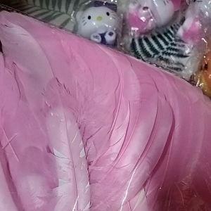 ขนนกตกแต่ง เค้ก พร๊อบถ่ายรูป