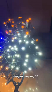 Lampu Seribu Bintang 8 mm panjang 10 m (isi 30 mata bohlam)