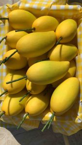 โมเดล ผลไม้ปลอม มะม่วงปลอม ไม่หอม ไม่หวาน รับประทานก็ไม่ได้ ลูกละ49บาท ผลิตโรงงานไทยพร้อมส่ง!