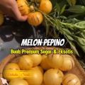 [Virladia Seeds] Biji Benih tanaman melon pepino kuning. 