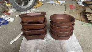 Combo 8 chậu đất nung trồng bonsailọt lòng 17 cm chậu gốm trồng cây chậu mini trồng bonsai chậubí sứ đất nung size lớn 17 cm chậu trồng ban công chau trong cay khuôn đúc cảnh hộp bộ kkv gà rutin tiểu