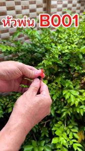 หมอกสีส้ม 1 แพ็ก 10 ตัว หมุนปรับละอองน้ำได้ หมุนปิด-เปิด รดน้ำต้นไม้ เกษตร ลดฝุ่นละออง สปริงเกอร์