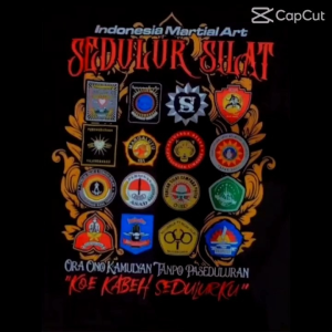 kaos pencak silat IPSI