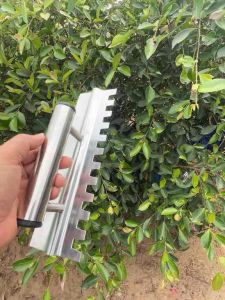 Bay Răng Cưa Inox Cao Cấp U15mm Kích Thước 3 Tấc - 4 Tấc- 6 Tấc Chất Liệu Inox Cao Cấp Đa Kích Thước