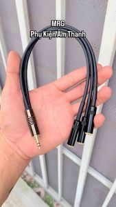 Dây chia jack 3.5mm 1 ra 3 1 đầu đực 3.5 sang 3 đầu cái 3.5 dài 30cm giá 1 dây.