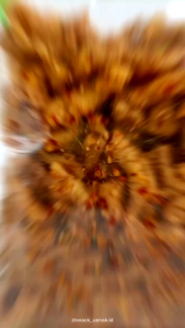 SNACK KILOAN KERIPIK USUS BALADO 250 GRAM | CEMILAN MURAH MAKASSAR