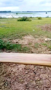 สินค้าราคาพิเศษ ชิงช้าไม้ DIY จากไม้ประดู่